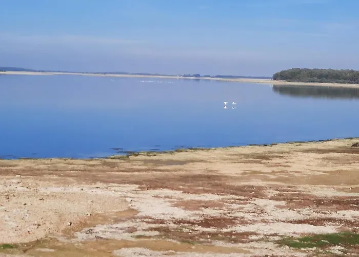 Chalet Marne Du Der Joli Au Charme Du Der Chatillon-sur-Broue