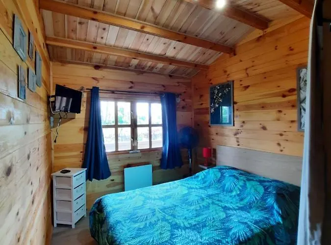 Chalet Marne Du Der Joli Au Charme Du Der